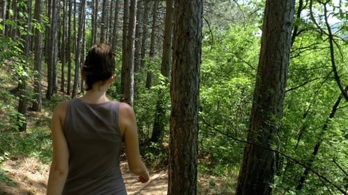 View From the Back To Traveler Woman Hiking on the Forest Trail Path in Mountain