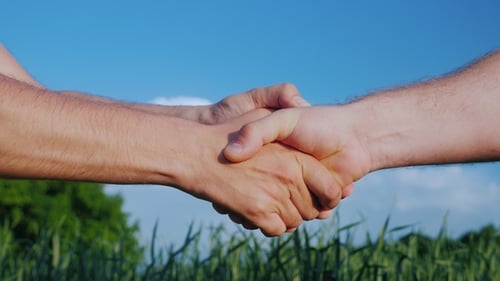 Men Shake Hands in Rural Wheat Field