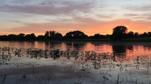 Magnifique coucher de soleil sur la rive du lac. Vacances d'été