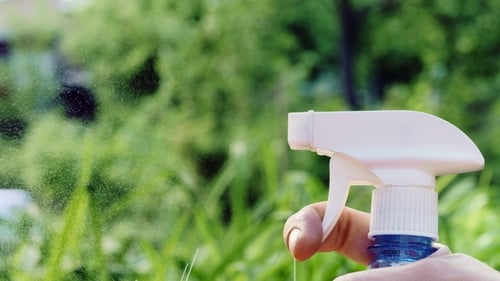 Man Hand, Sprinkling with Spray Bottle