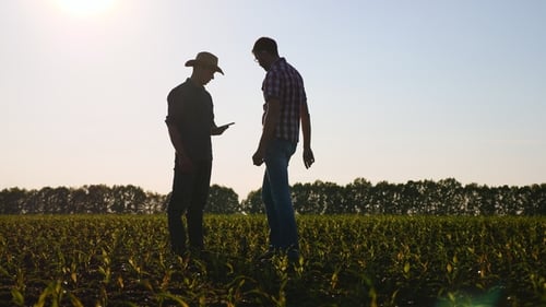 Farmers Use Tablet in Rural Field