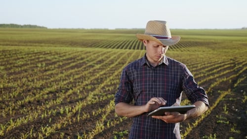 Young Adult Using Tablet in Agricultural Field