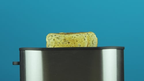 Toast Popping Up in Toaster