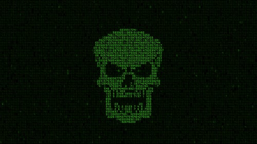 Digital Skull Icon Animation with Green Matrix Code Stream
