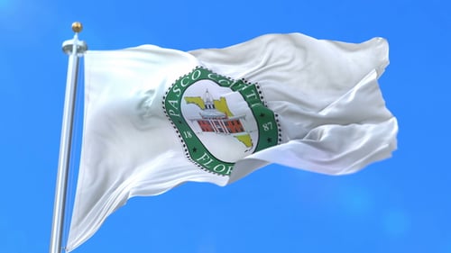 Drapeau du comté de Pasco