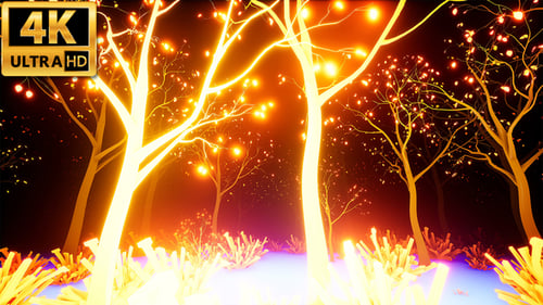 Light Forest 4k