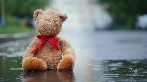 Teddy Bear Sitting in a Rainy Puddle