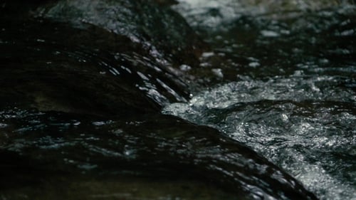 Footage. Flowing Water Over Stones in Mountines River
