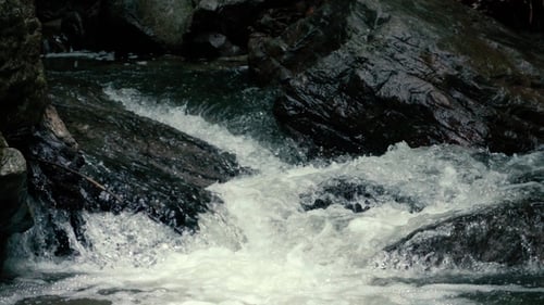 Footage. Flowing Water Over Stones in Mountines River