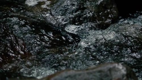 Footage. Flowing Water Over Stones in Mountines River