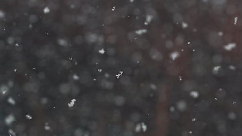 Snowflakes Falling