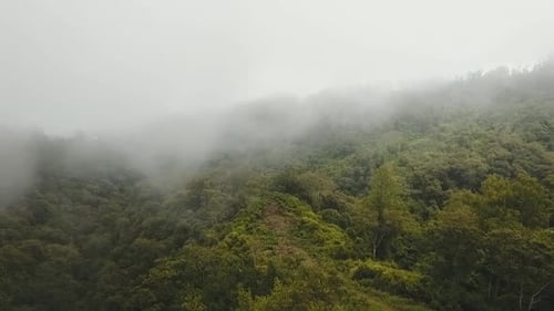 Regenwaldwolke Bali Indonesien