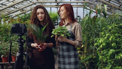 Popular Bloggers Owners of Greenhouse Are Recording Video About Pot Flowers with Camera. Many Green