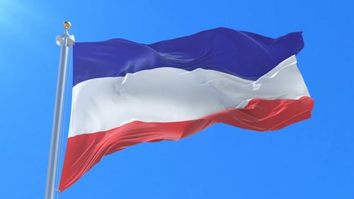 Realistic Waving Tricolor Flag Animation on Blue Sky