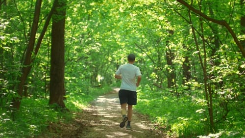 Man Makes a Run in the Park, a Sunny Day