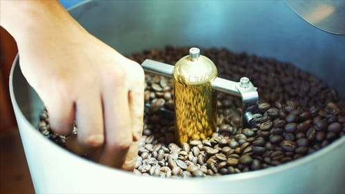 Roasted Coffee Beans in Roasting Machine