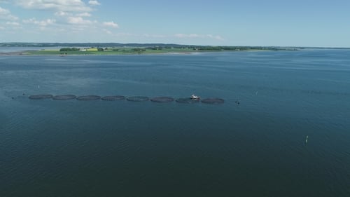 Drone over Fish Farm