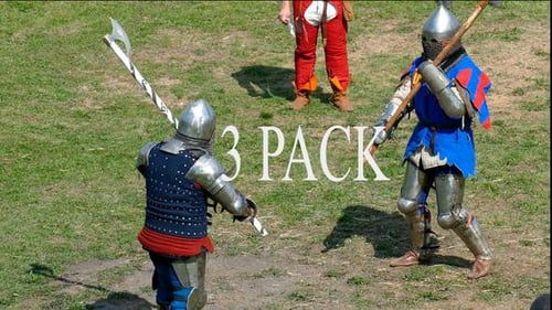 Medieval Combat Reenactment on Grassy Field in Daytime