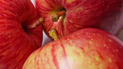 Rote saftige Äpfel drehen sich