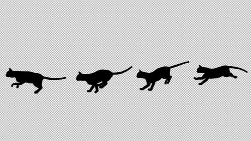 Black Cat Silhouette Running Animation