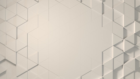 Corporate Background