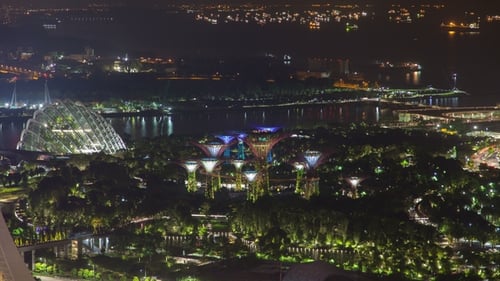 Singapore Gardens By the Bay with Ships Night