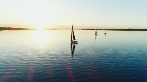 Sailboats Gliding Across Blue Waters During Golden Hour