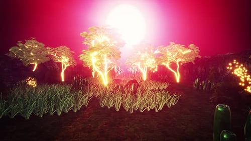 Garten mit leuchtenden Bäumen bei Sonnenuntergang 4k