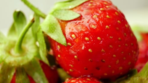 Fresh Strawberries in a Bowl