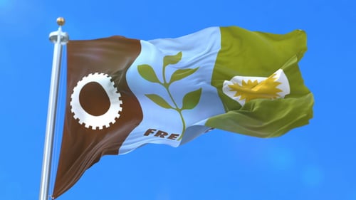 Flag of Fresno City of United States of America