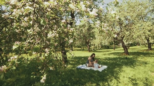 Happy Young Mother Playing on Blanket with Her Little Son under Tree at Park