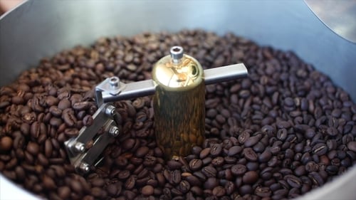 Coffee Beans Roasting Inside Commercial Coffee Machine