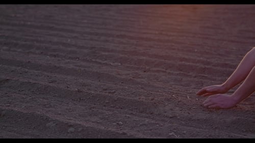 Farmer Examining Soil in Hands, Agriculture Farming Background