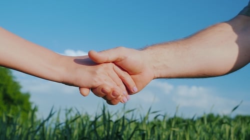 A Man Farmer Shakes Hands with a Woman. Against the Background of a Green Wheat Field and Blue Sky