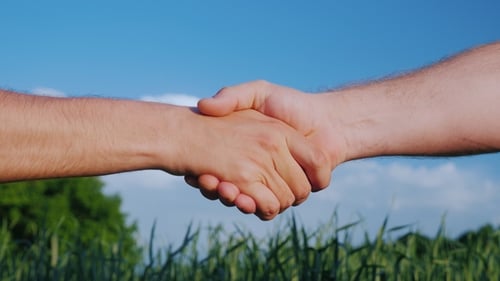 Two Farmers Shake Hands - . Against the Background of a Green Wheat Field and a Blue Sky. Fair Deal