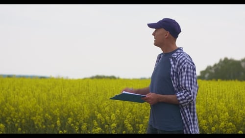 Mature Farmer Writing In Clipboard At Rapeseed Cultivated Field