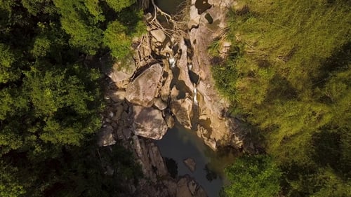 Water Stream on Rocky River and Green Forest Aerial Footage. Clear Water in Mountain River View From