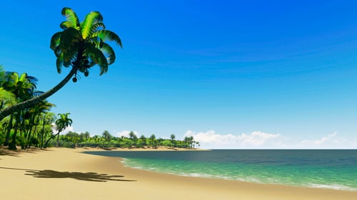 Beach With Palm Trees