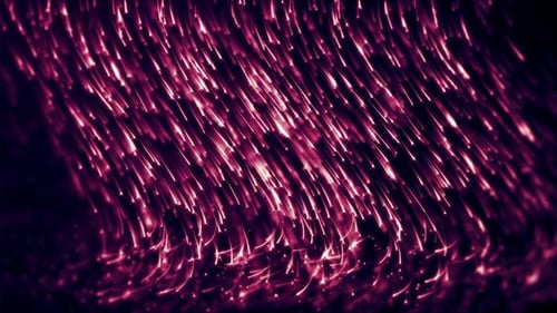 Abstract Neon Pink Light Streaks Background Animation