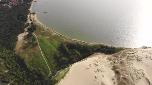 AERIAL: dolly shot of a calm water in the coastline near the green pine forest