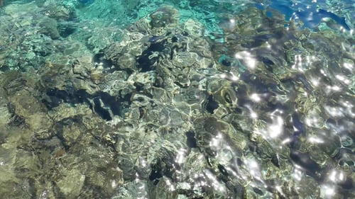 Türkisfarbene Wasseroberfläche auf Meer oder Meer