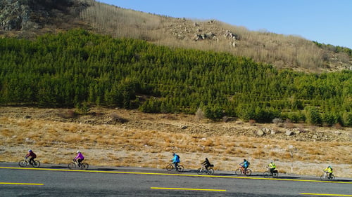 People Riding Bicycle