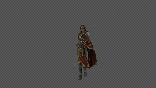 Female Woman Soldier Holding Sword And Shield Walk Pack 4In1