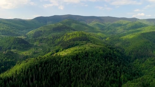 Aerial View of Carpathian Mountains in Summer.