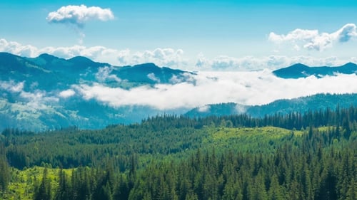 Misty Morning in the Mountains