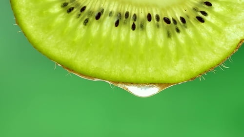 Close Up of Kiwi Slice with Hanging Drop