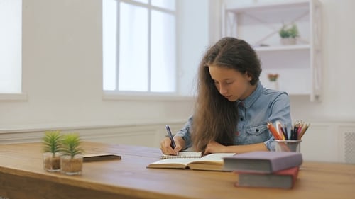 Young Girl with Laptop Computer Is Doing Homework. College Education. Female Student Is Studying