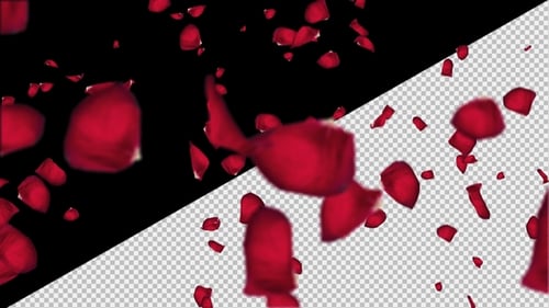 Fallende Blütenblätter von Rosen mit Alpha-Kanal