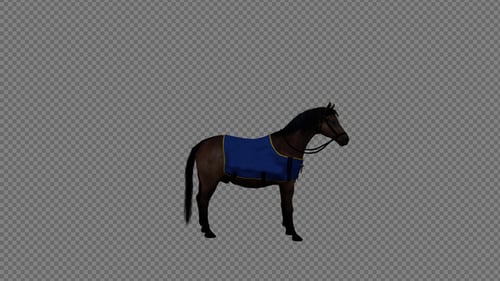Animated Brown Horse Grazing and Standing with Blanket