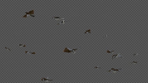 Bird School Crowd Sparrow Flock Fly Pack 8In1